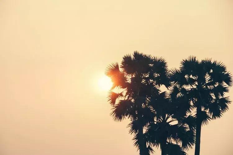 不一样用英语怎么说,我不一样英语