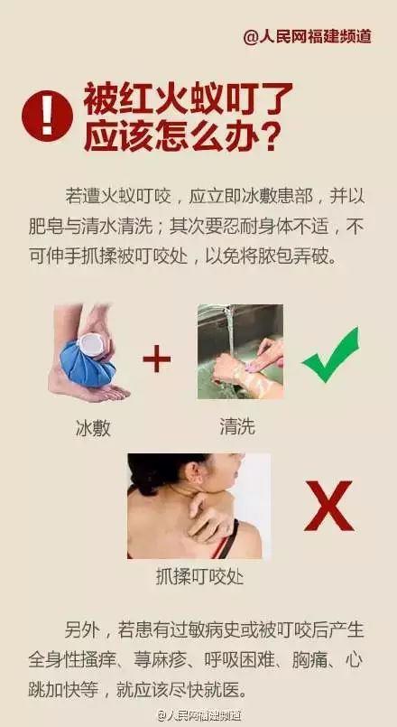 漳州有种小小的黑色虫子咬人很痒,福建漳州虫子