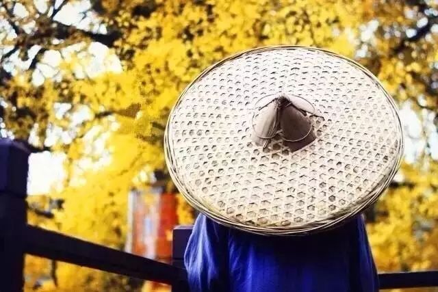 这些绝美小黄片,已经陆续在全国上线,找个时间去扫黄吧