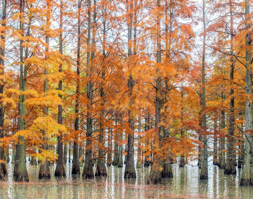 这些绝美小黄片,已经陆续在全国上线,找个时间去扫黄吧