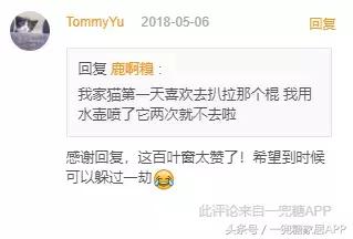 网红窗帘今年流行的,窗帘十大网红款