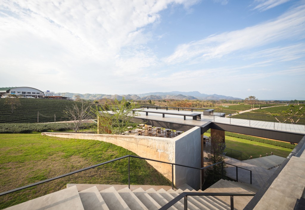 植于遍山茶树间茶馆──泰国翠峰ChouiFong