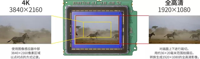佳能eosr与r6有何区别,佳能eosr实操