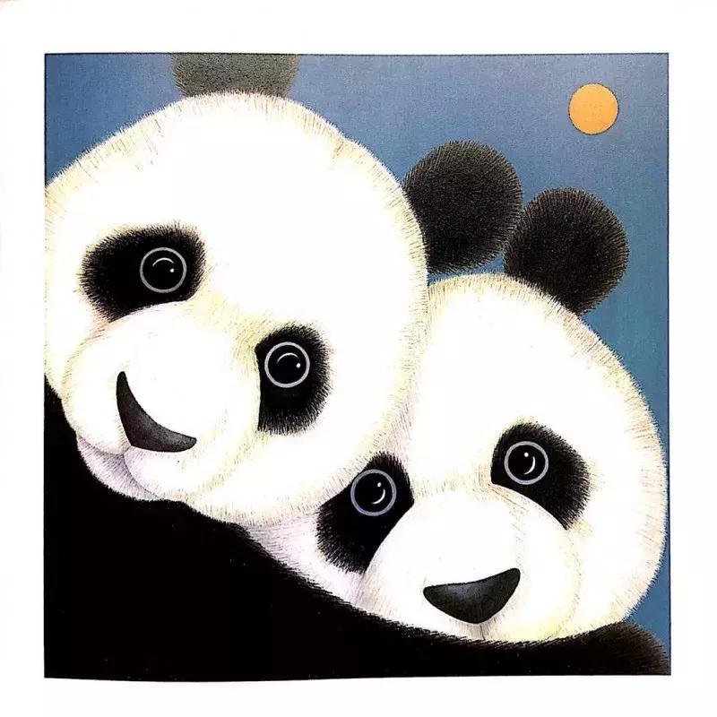 最近流行适合女性的一套书,平价颜值又高容量大的书