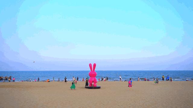 北戴河五大网红地标打卡游攻略,北戴河湿地公园网红打卡地