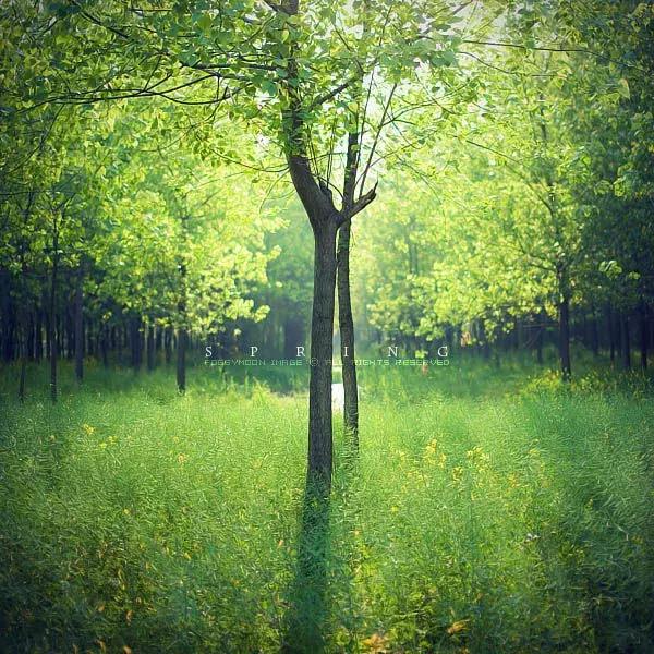 写好调研报告的经验与技巧,调研报告写作的六个技巧