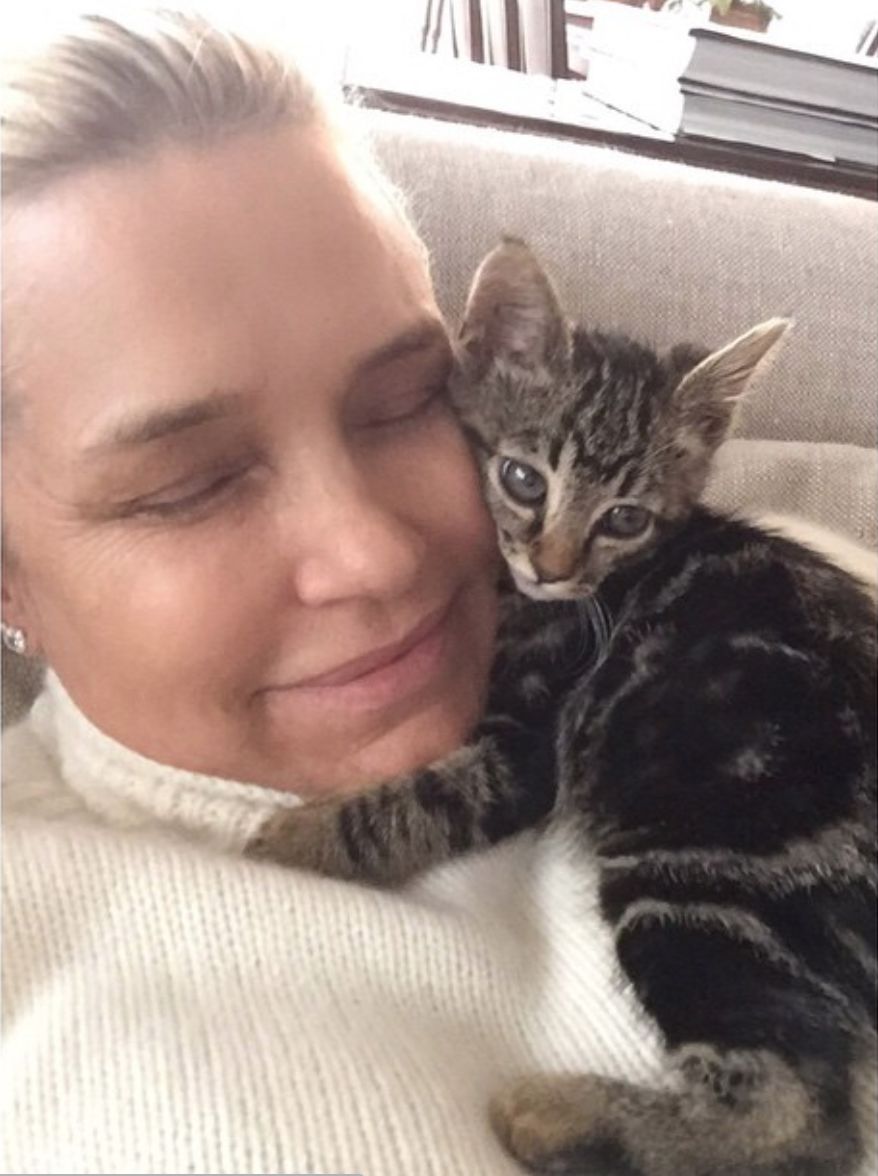 维密天使猫猫走秀,维密超模走秀猫咪