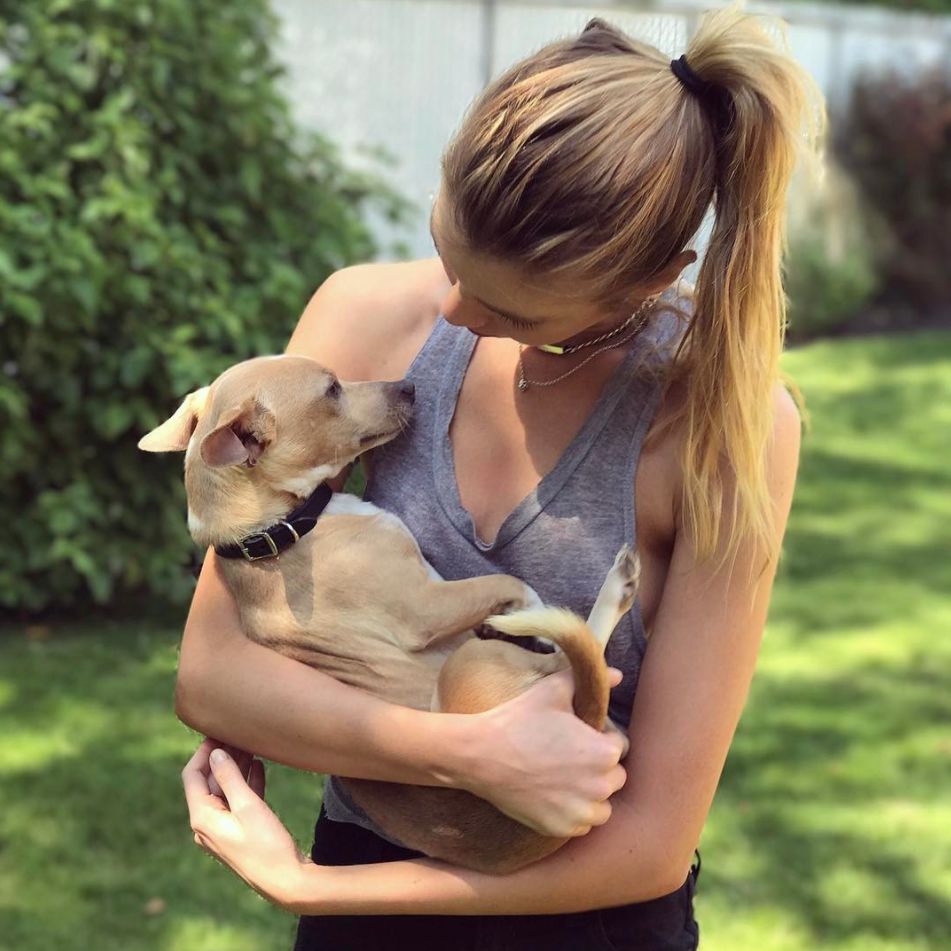 维密天使猫猫走秀,维密超模走秀猫咪