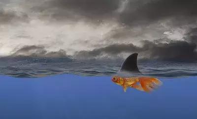 鎷嶆瀹屾暣瑙嗛鐜夌煶淇辩剼,鎷嶆