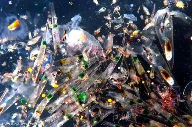 空气中的pm2.5是什么,pm25在空气中算不算