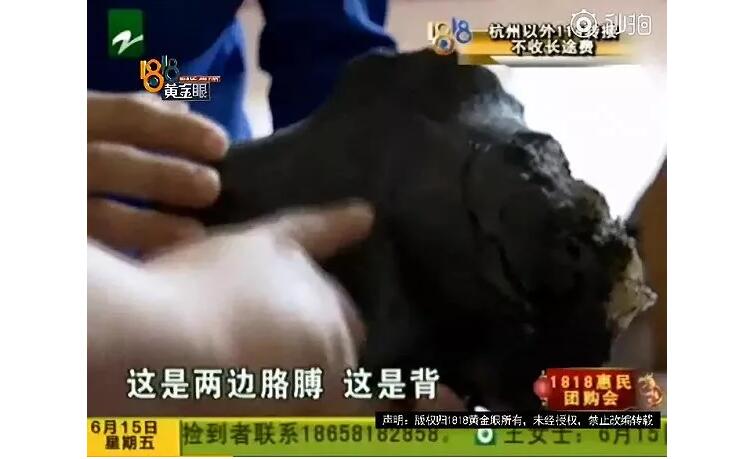 人工智障二蛋名场面,人工智障机器人二蛋原视频