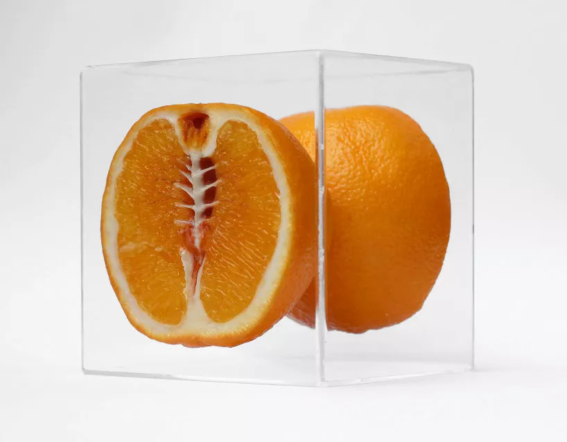 艺术家笔下的蔬菜,艺术家眼中的树