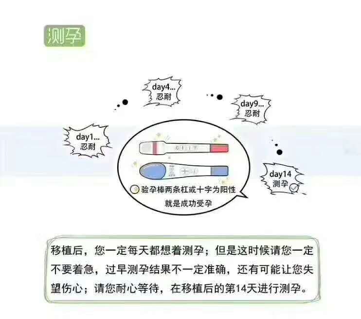 揭秘试管婴儿在试管中的成长记,一分钟就能读懂的试管婴儿全流程