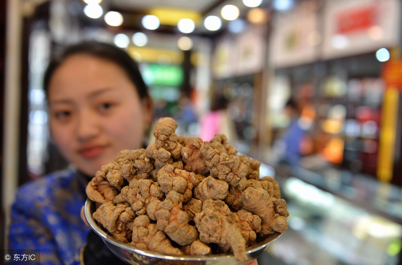 三七头数多和头数少功效一样吗,三七的头数大小的功效有啥区别