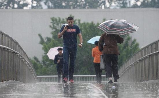 鸡蛋这样吃，祛湿效果翻10倍，连吃7天，带走身体89%的湿气！