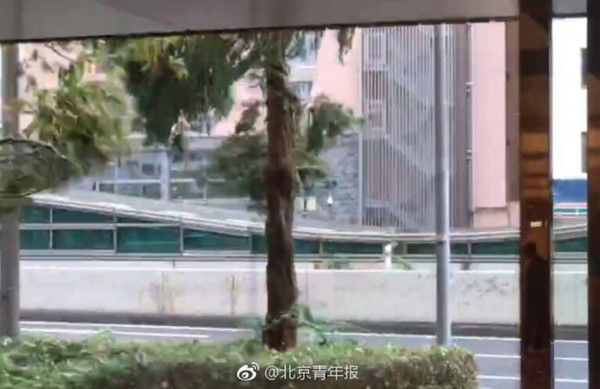 携程回应不按约定退机票,携程显示已退票航空公司不给退