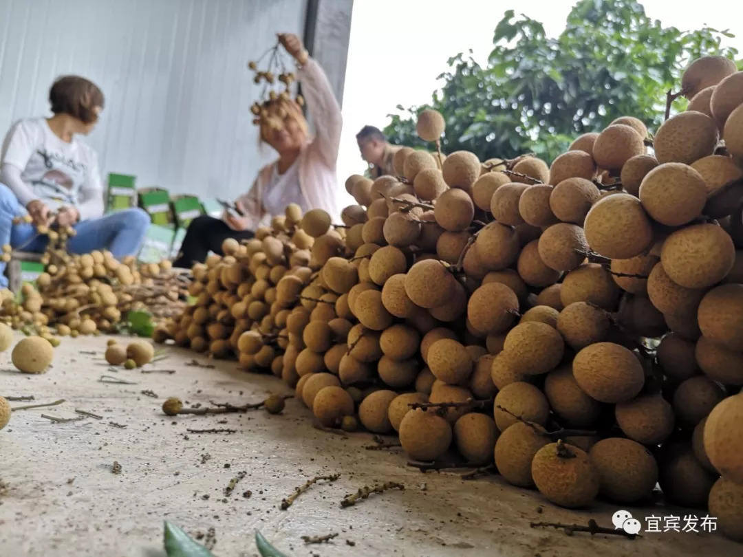 四川宜宾马湖风景区,屏山马湖古城最新消息