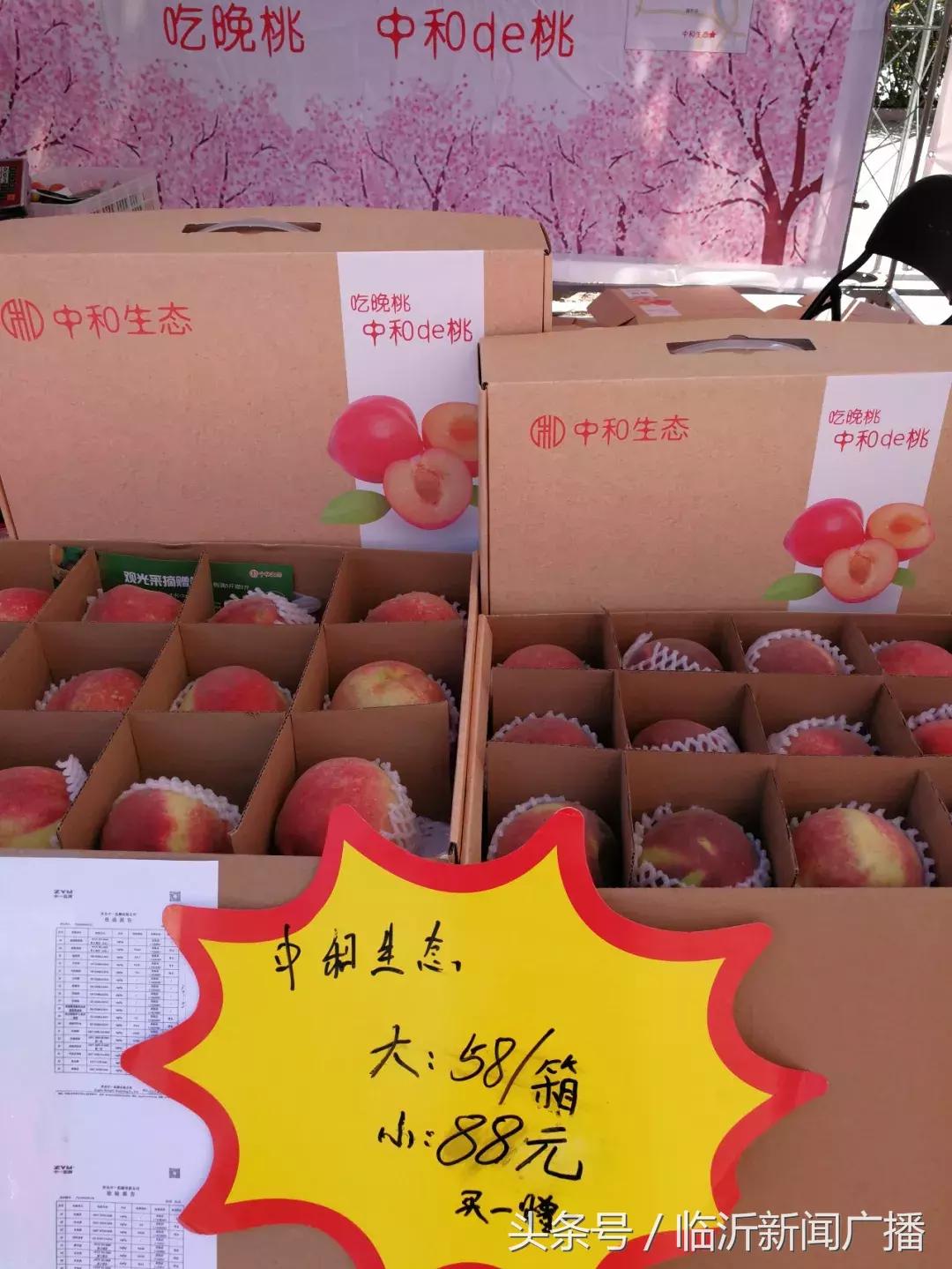 展销会火爆视频,展销火爆现场