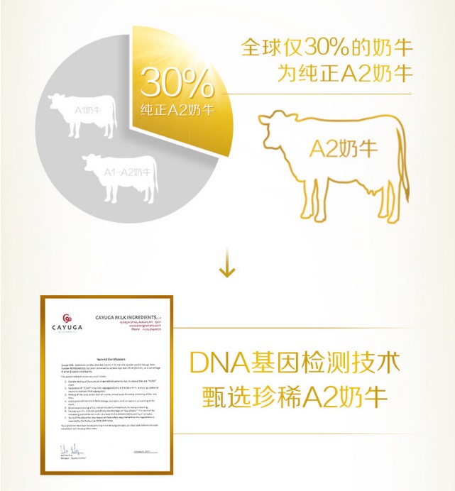 奶粉cpb是什么,奶粉里的cpb重要吗