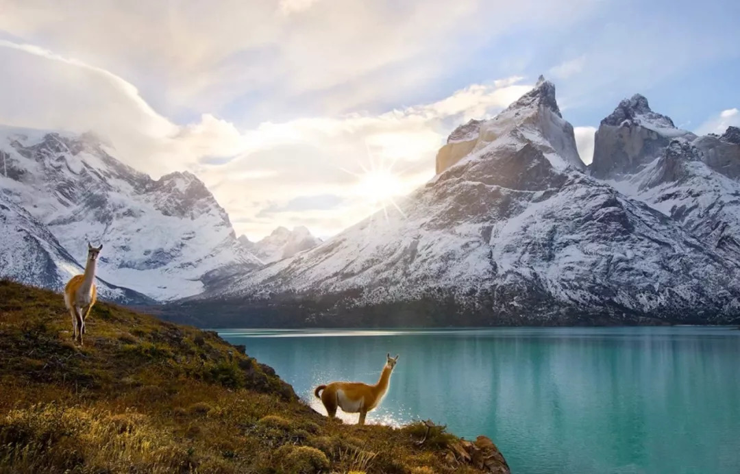 明年1月，可能是你离称霸南美最近的一次