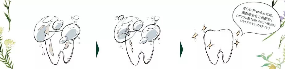 日本清洁牙齿最好的牙膏,一款能解决你口腔问题的好牙膏