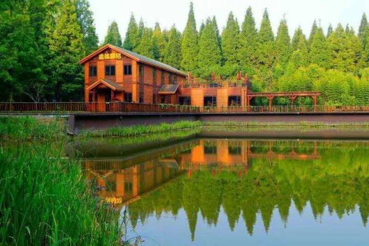 盐城以后有可能成为二线城市吗,盐城有望成为二线城市吗