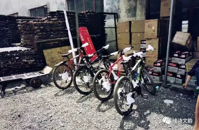 一路向东青岛之行,一路向北去山东日照