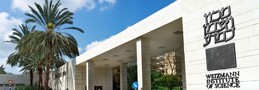 加拿大什么益生菌最好,bbc揭秘食物真相