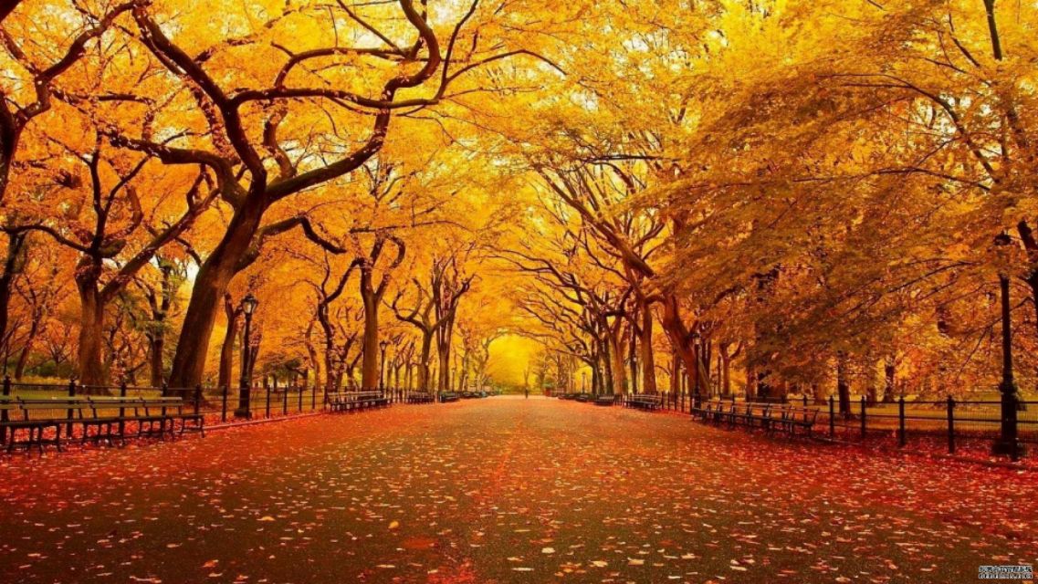 不知时光,时光在深秋停留