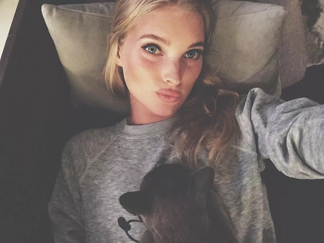 维密超模猫咪,维密秀猫咪