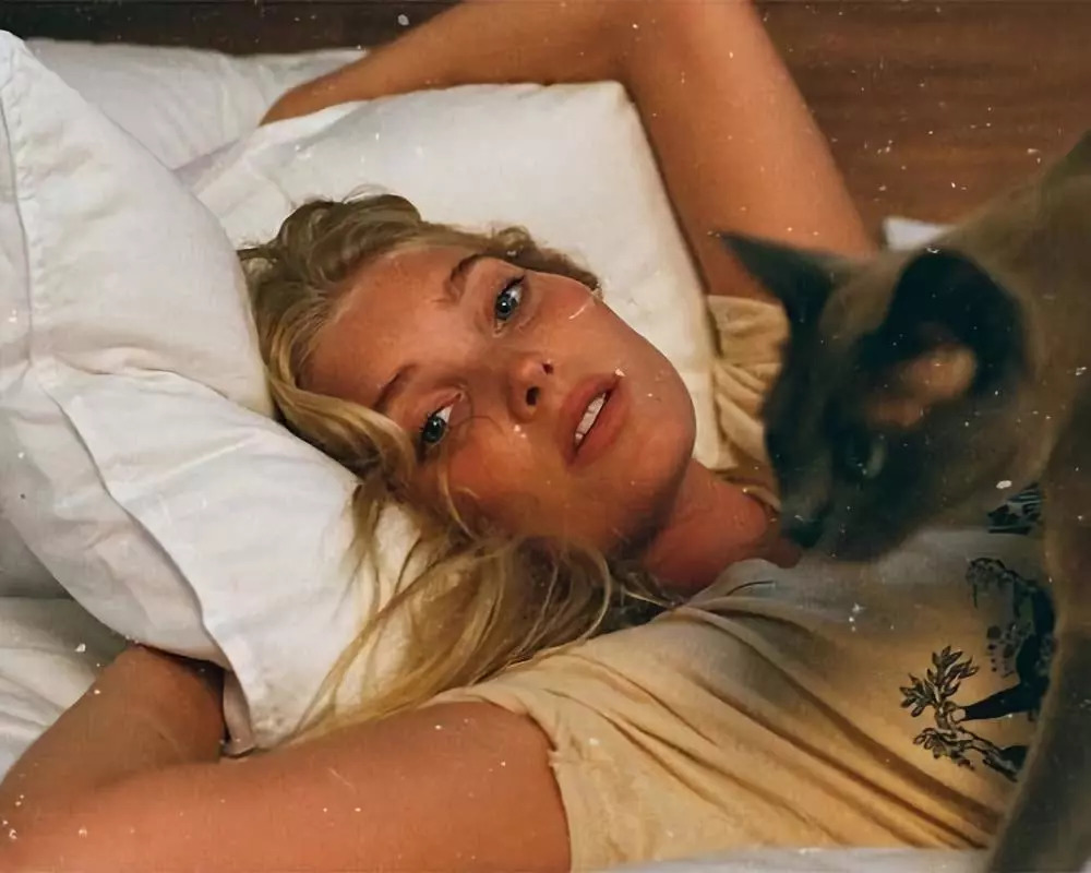 维密超模猫咪,维密秀猫咪