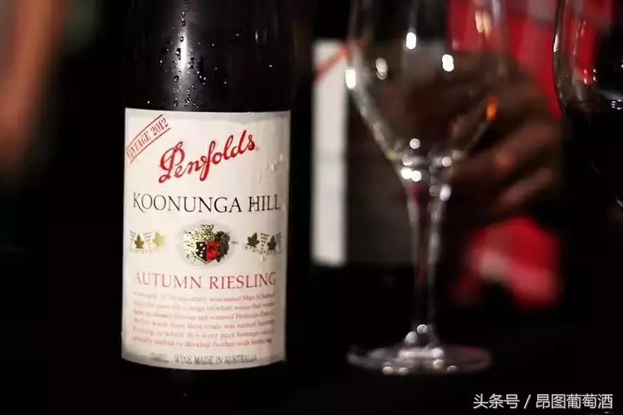 奔富系列最贵的红酒,葛兰吉奔富红酒是山寨酒吗