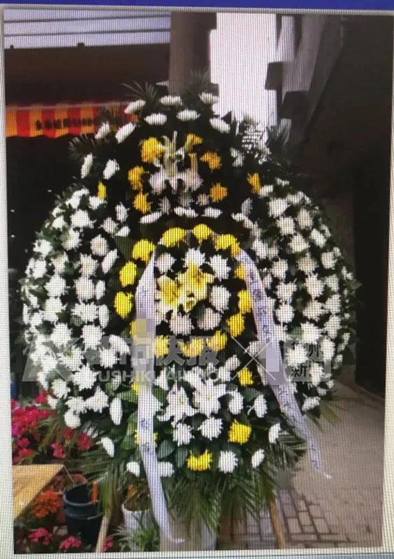 第一次借钱就借了1000,刚借钱就被催还钱