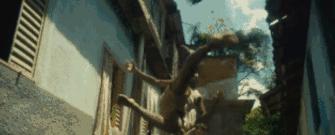 9岁擦皮鞋,20岁身价近1亿欧元,你一定听过他的名字!