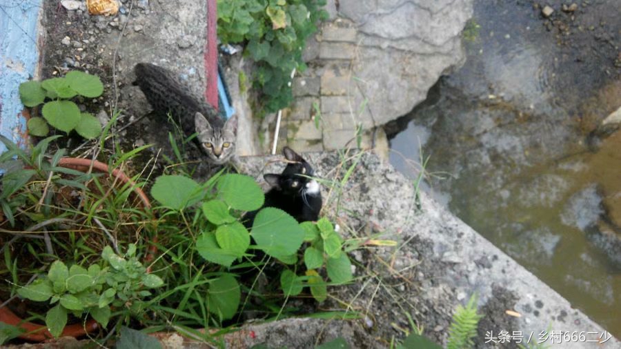 平凡之路赏析,平凡之路赏析及感悟