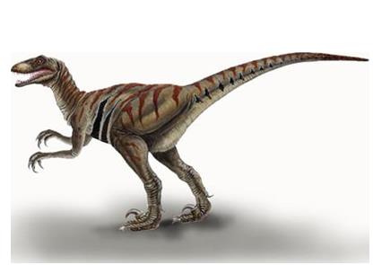 六角恐龙肚子变大是怎么回事,恐龙为什么这么大