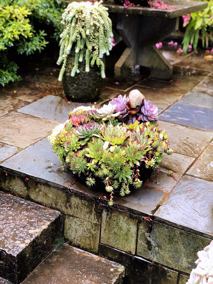 我是云南人搞笑视频,昆明大理腾冲视频