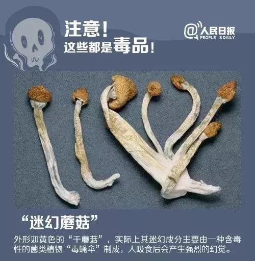 新型毒品蓝精灵有何危害,警惕蓝精灵毒品
