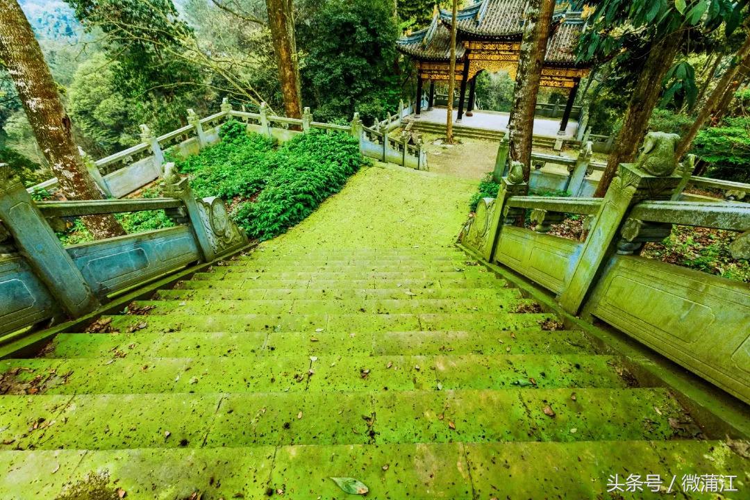 于城市后花园遇见生活美学石象湖景区美skr人！