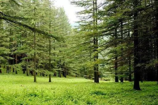 千年古县山水图,千年古县山水之城