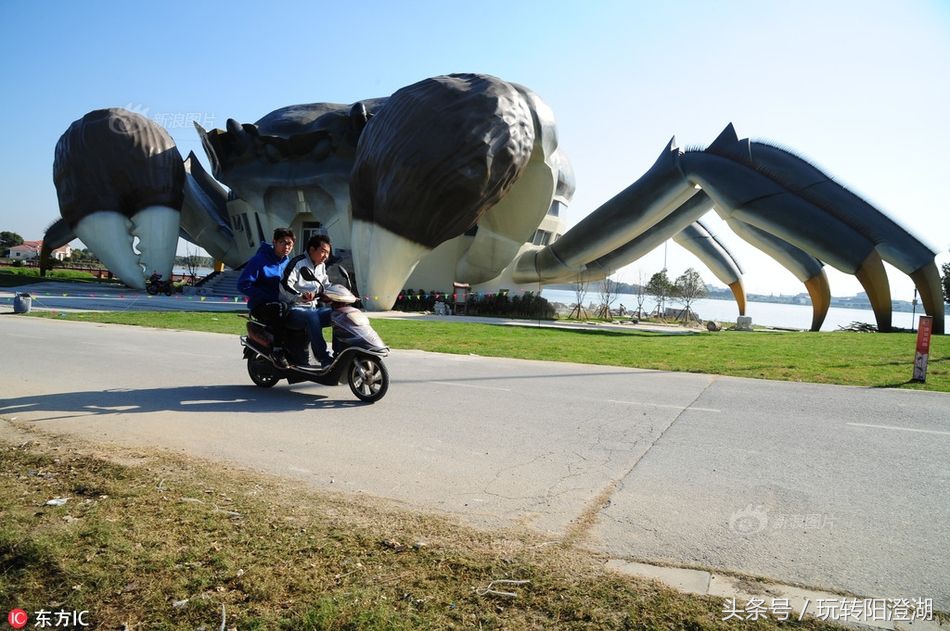 苏州阳澄湖大闸蟹行业协会官网,阳澄湖大闸蟹行业协会怎么样