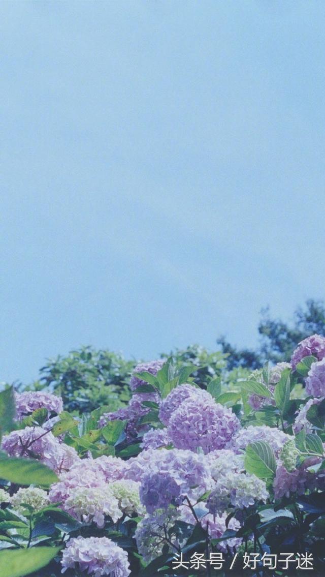 心情语录精致走心句句说到心窝上,一句话心情签名精辟走心短句