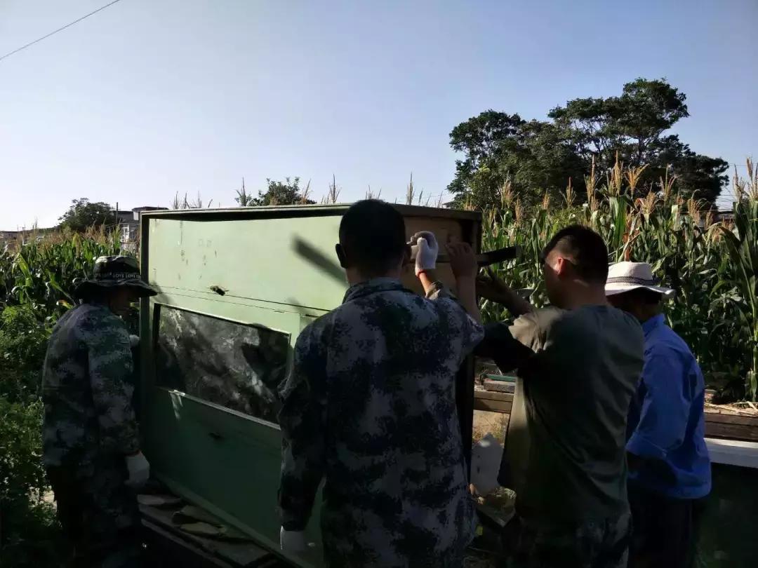 现场直播拆违建,复兴区拆违建最新消息