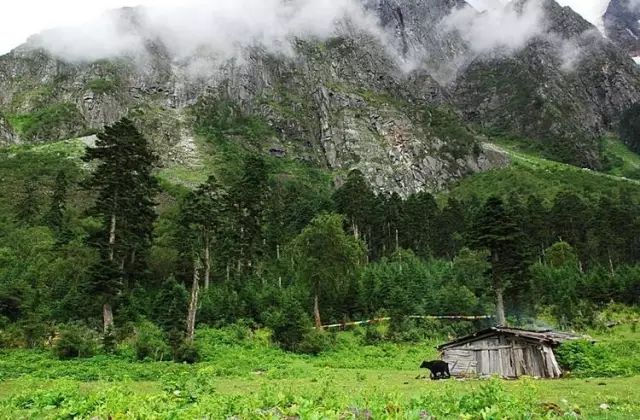 藏西的风景,藏西有哪些景点