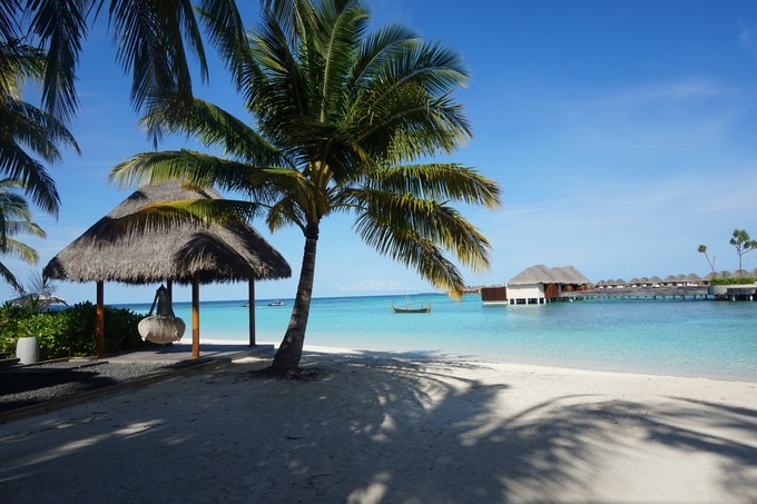 马尔代夫最强选岛攻略！摇旗呐喊一定要看！