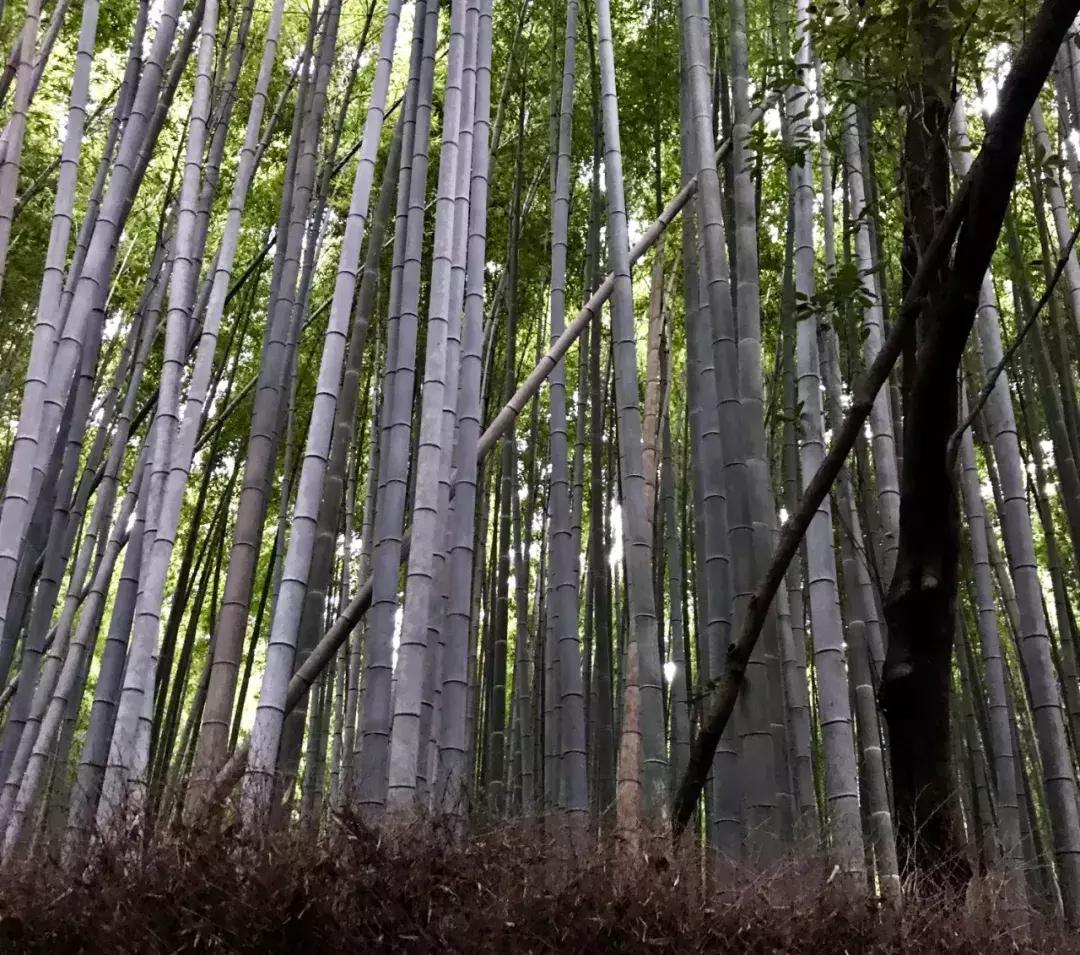 旅行是检验一个人的最好方法,旅行是所有关系的试金石