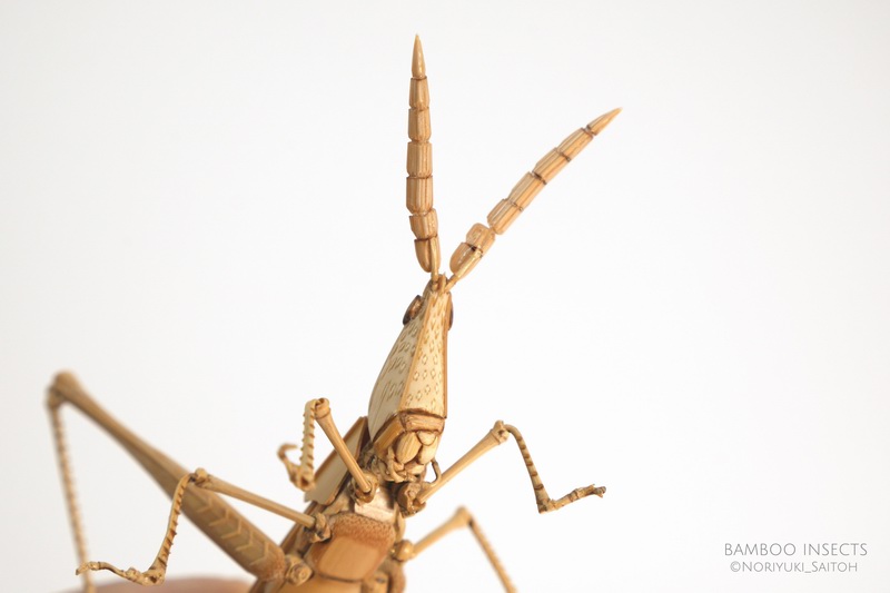 日本手工艺人NoriyukiSaitoh用竹子创造出逼真的昆虫模型