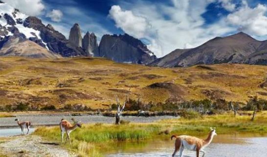 忘掉桑巴和足球吧！这才是南美洲的底色