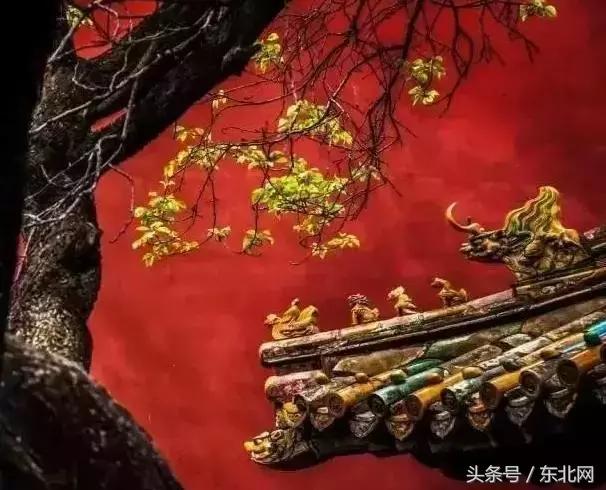 北京秋天一定要看的美景,北京秋天到处都是天堂般的美