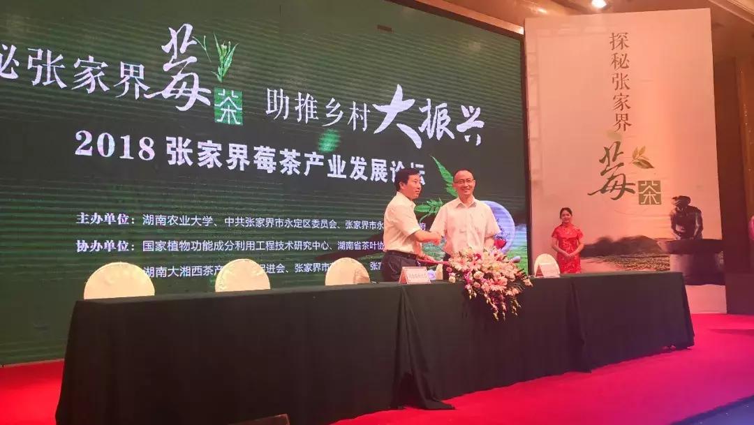 张家界莓茶文化节,2023张家界莓茶节